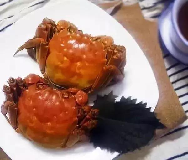 吃螃蟹必备的神奇香草，竟然有着这么美的名字