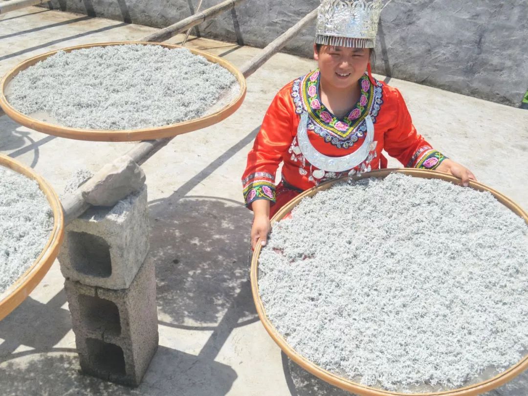 磨叽哥直播,磨叽哥