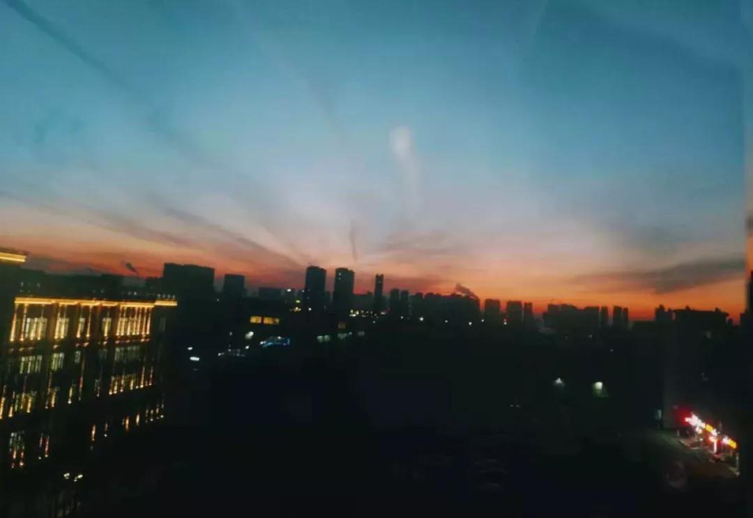 辽宁中医药大学杏林学院独立学院,辽宁中医药大学三个校区