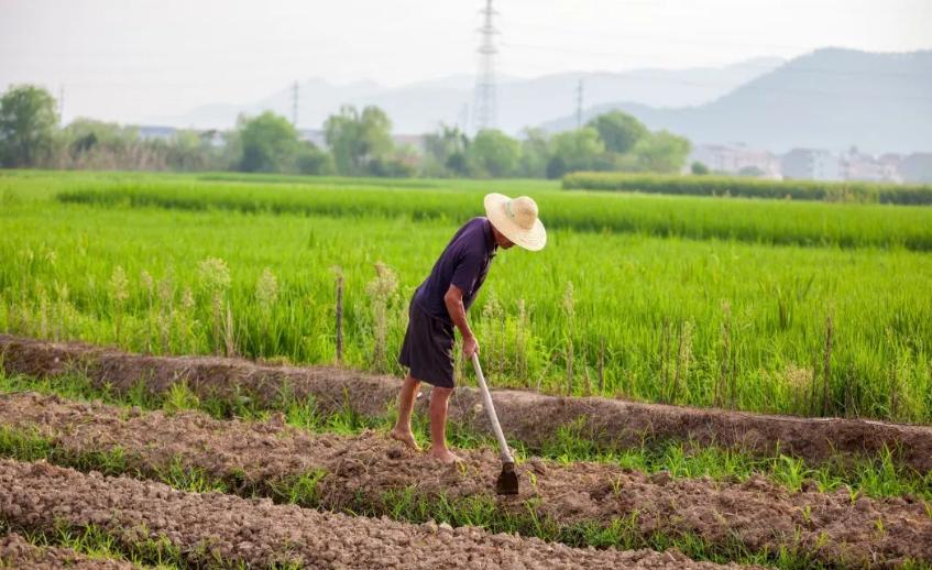 再过20~30年农民都进城了，农村土地怎么办？还有没有人种地？