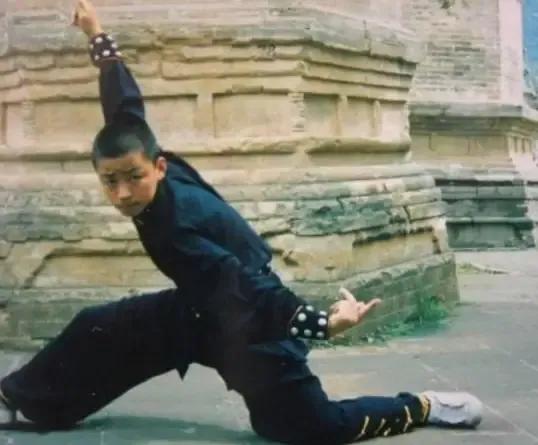 陈思诚是花花公子吗,陈思诚的成名往事