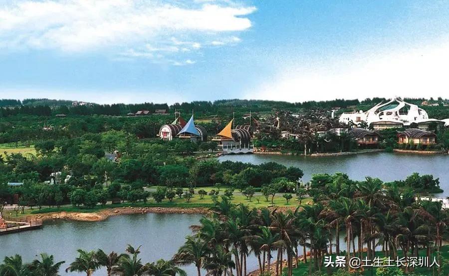 沙井是什么意思网络用语,沙井的含义是什么