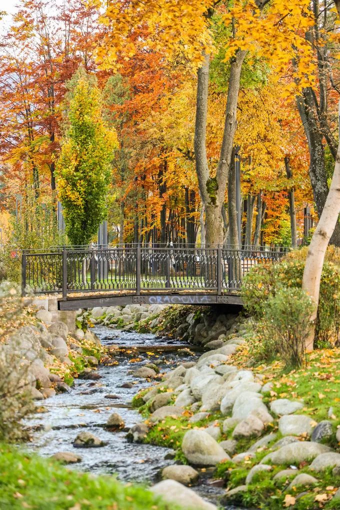 游记｜波兰—你所不知道的童话国度