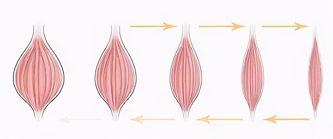 揭秘微整形之瘦脸整形,如何微整形改变大小脸