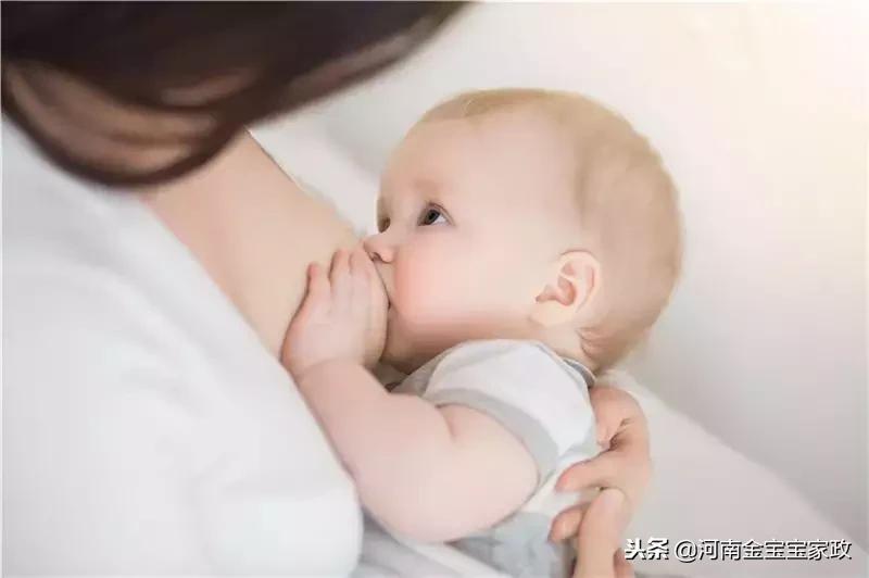 月嫂怎么治疗婴儿红屁屁,月嫂护理知识婴儿红屁屁