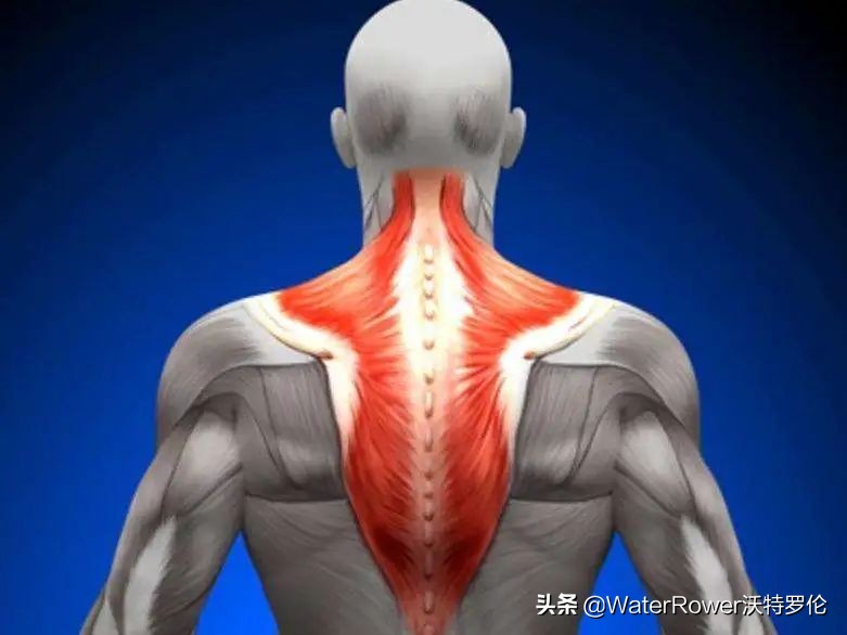 可爱解压球怎么做最简单的,皮球解压玩法