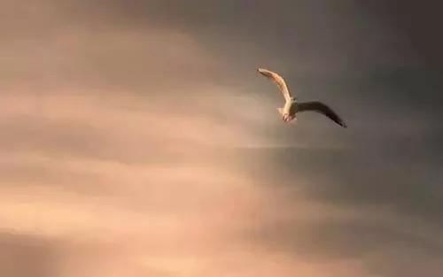 道德经第五十二章治水译文,孙健道德经第五十二章原文及译文