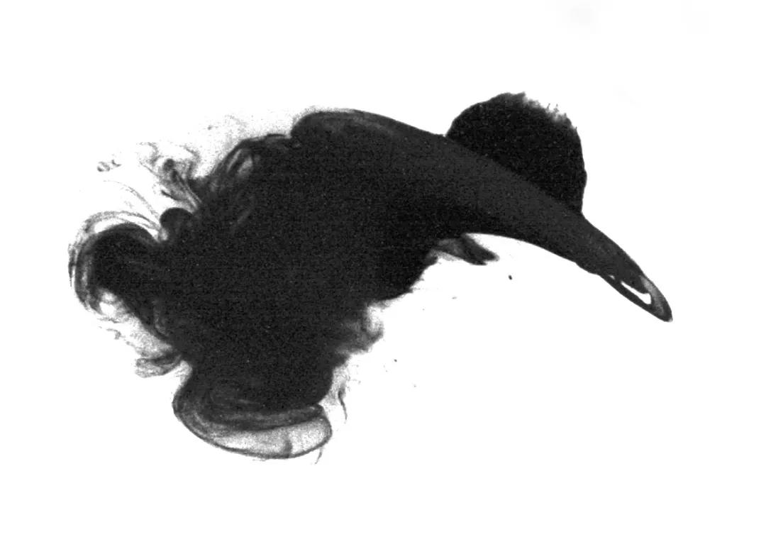 ps背景素材网站免费大推荐,ps模板素材免费文艺