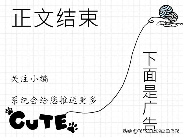 如何知道鱼缸中的硝化细菌成功了,鱼缸硝化细菌爆缸怎么解决