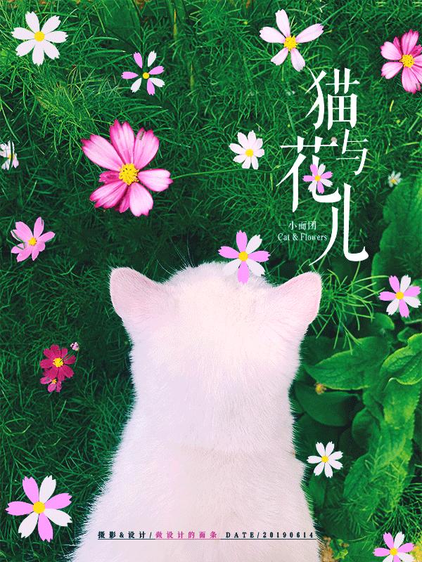 拍一张照片就能设计成一幅海报,一张人像图片做成海报构图