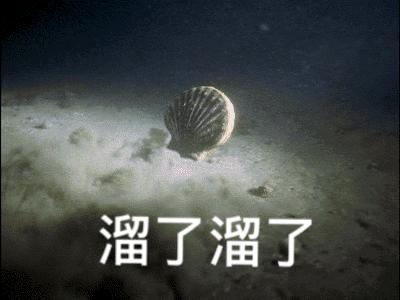 獐子岛扇贝跑了又回来,獐子岛扇贝出走周期