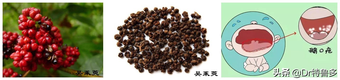 读完短文你明白了什么,膏药的原理讲解