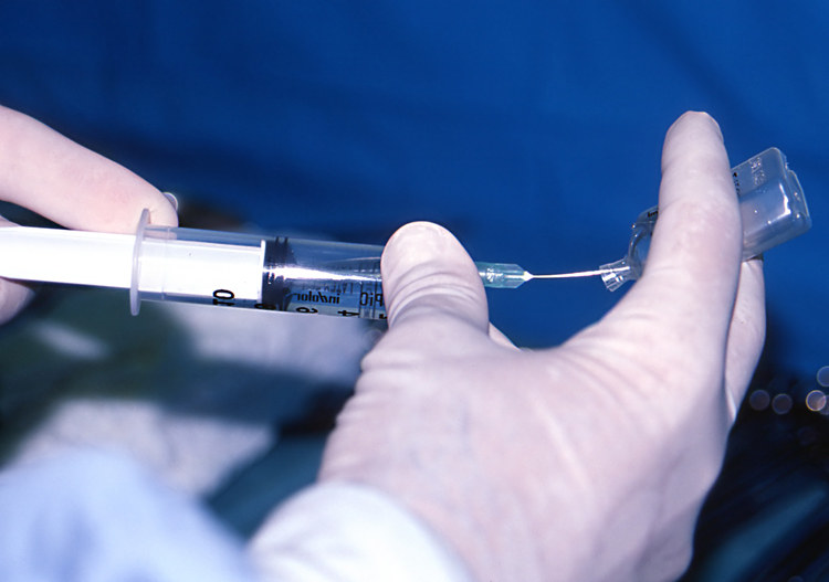 两颗牙值多少钱,两颗牙需要多少钱