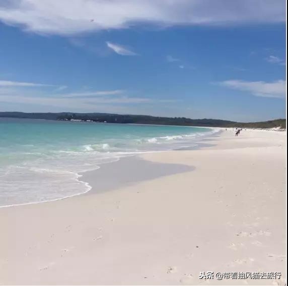 澳大利亚极致之旅,来澳大利亚必买