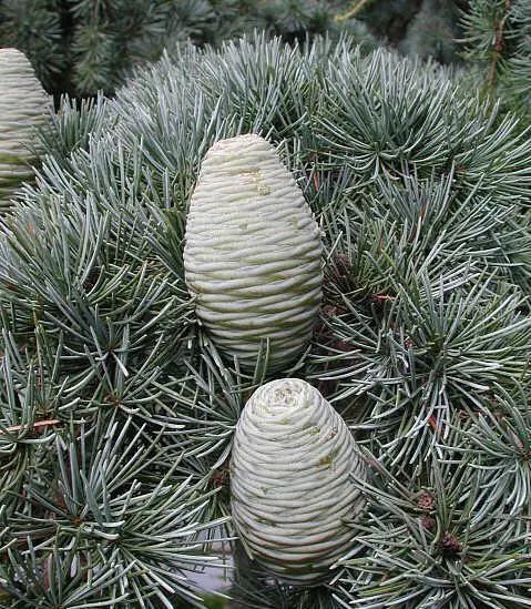 信仰之地小说,信仰之地信仰