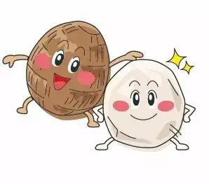 温州热销饮品,温州奶茶新品