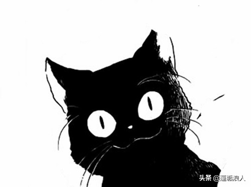 童话猫肥牛米线,童话猫布偶