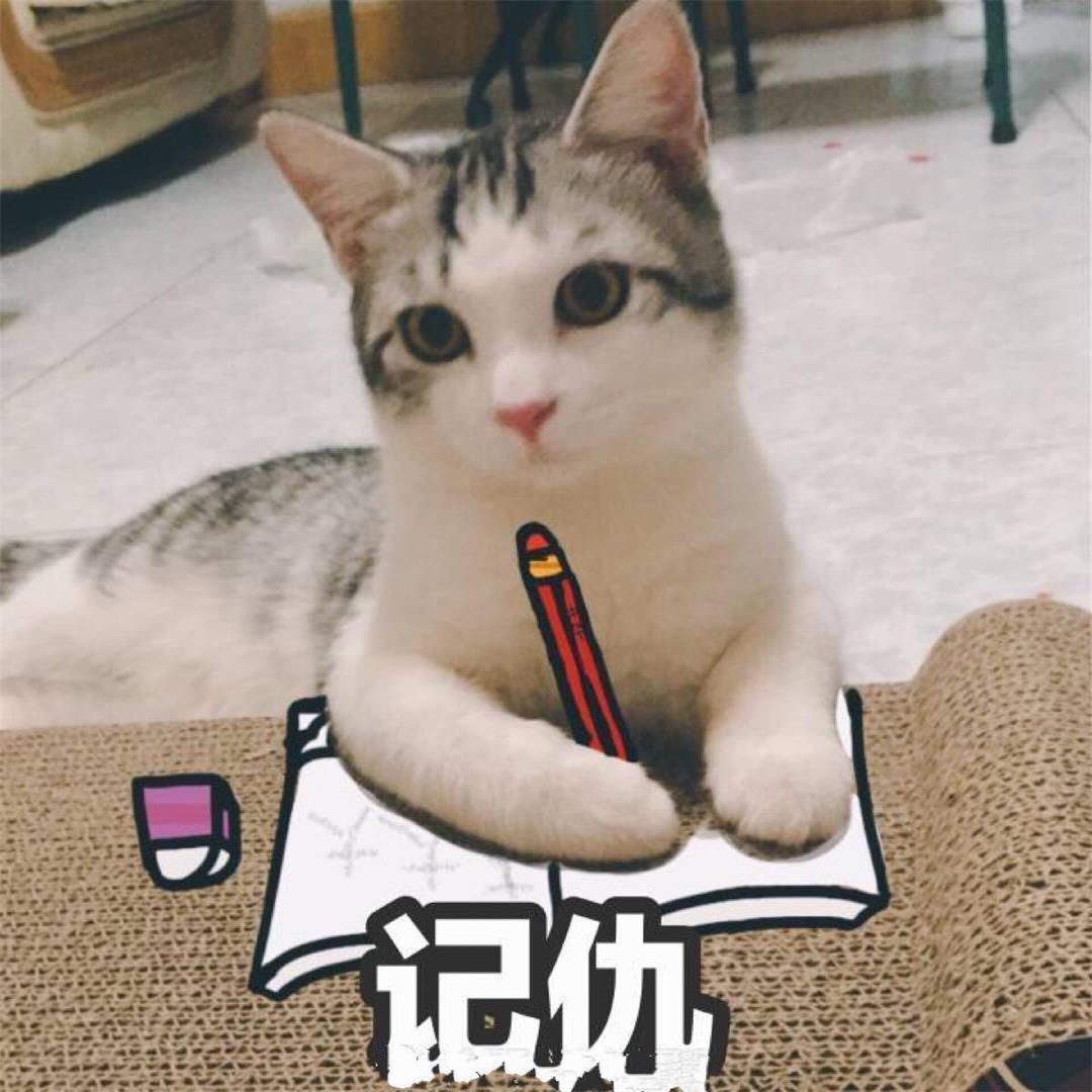 为什么猫怕人,为什么猫咪会怕铲屎官挂了