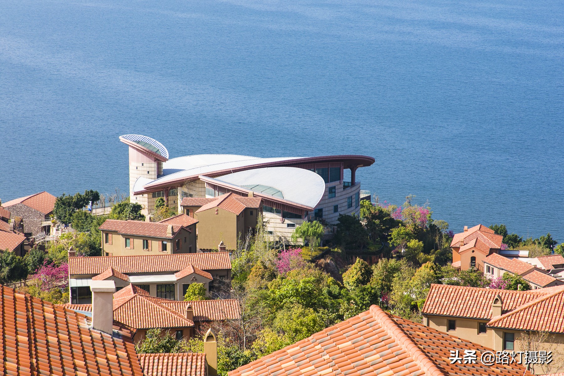 老年低价旅游购物团,旅游团有必要购物吗