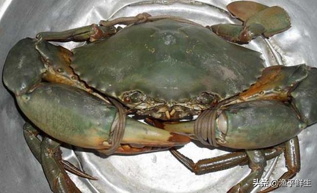 全国十大海鲜排名,中国海鲜十大产地排名最新