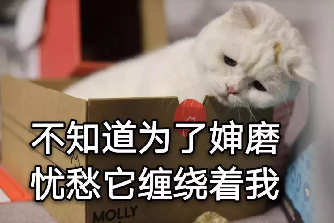 大牌精华哪个好用又便宜,精华好用又价格不贵