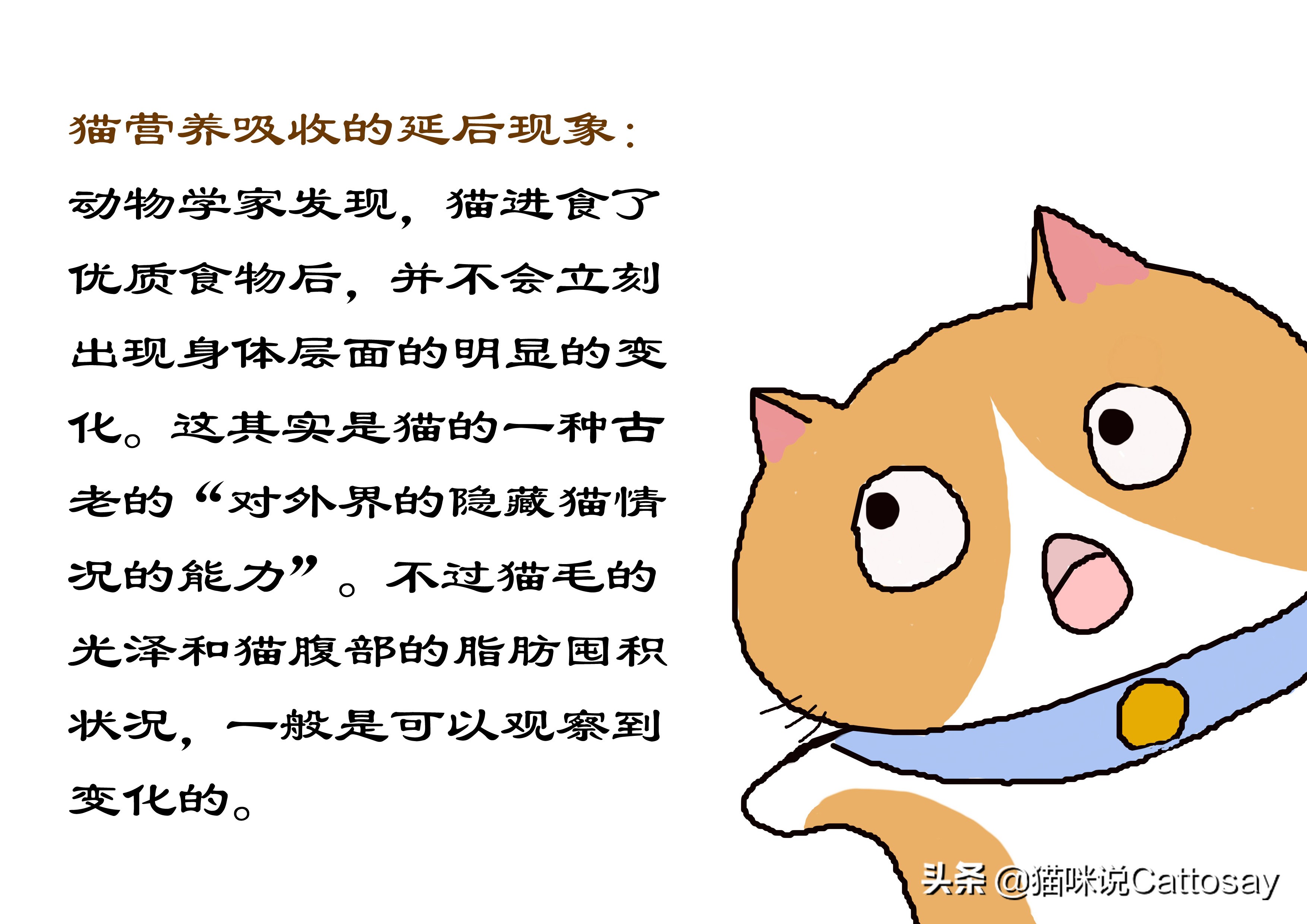 猫过度摄入维生素b会怎样,猫生病后怎么通过饮食给他补营养