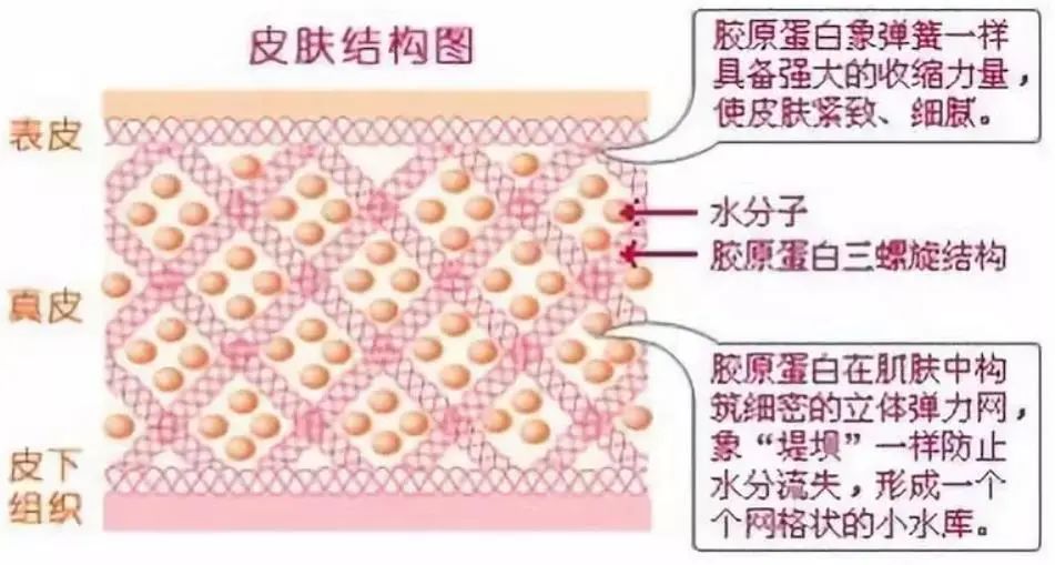 双美胶原蛋白治黑眼圈,双美胶原对血管型黑眼圈有用吗