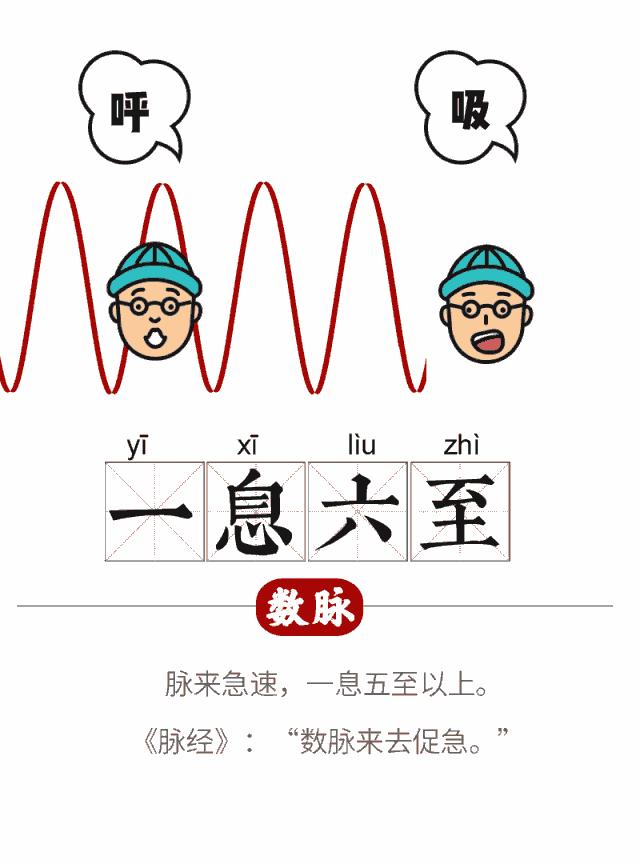 手腕脉象依次代表什么,手腕脉象对照表