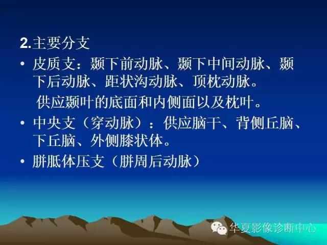 小脑血管解剖分段,脑血管影像解剖讲解