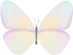 澳门有马场吗,澳门有mac的专卖店吗