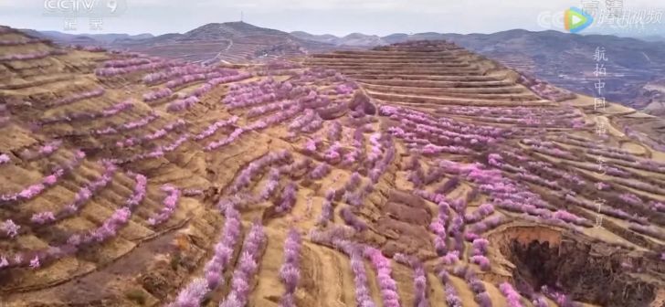 航拍中国宁夏详细景点,航拍中国宁夏详细笔记