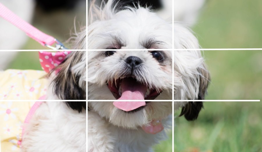 九宫格构图和三分法构图,三分线构图与黄金构图区别