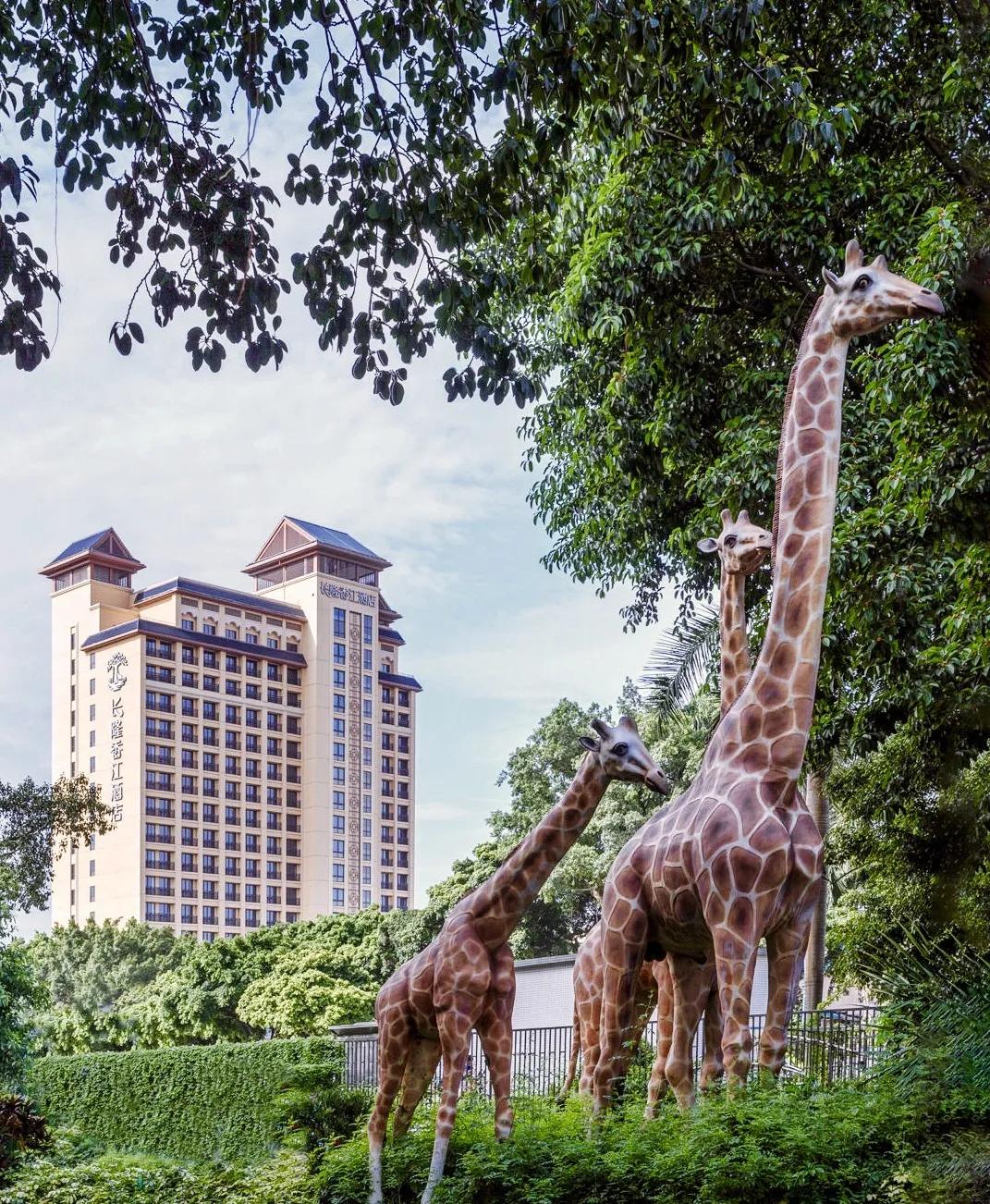 广州长隆香江酒店童趣游,广州长隆香江酒店岭南店