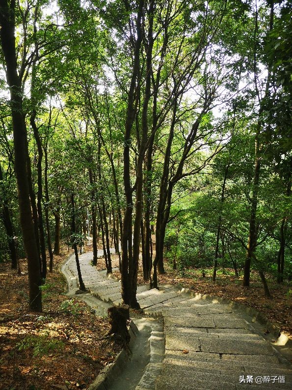 深圳大羊台风景,深圳阳台山看日落