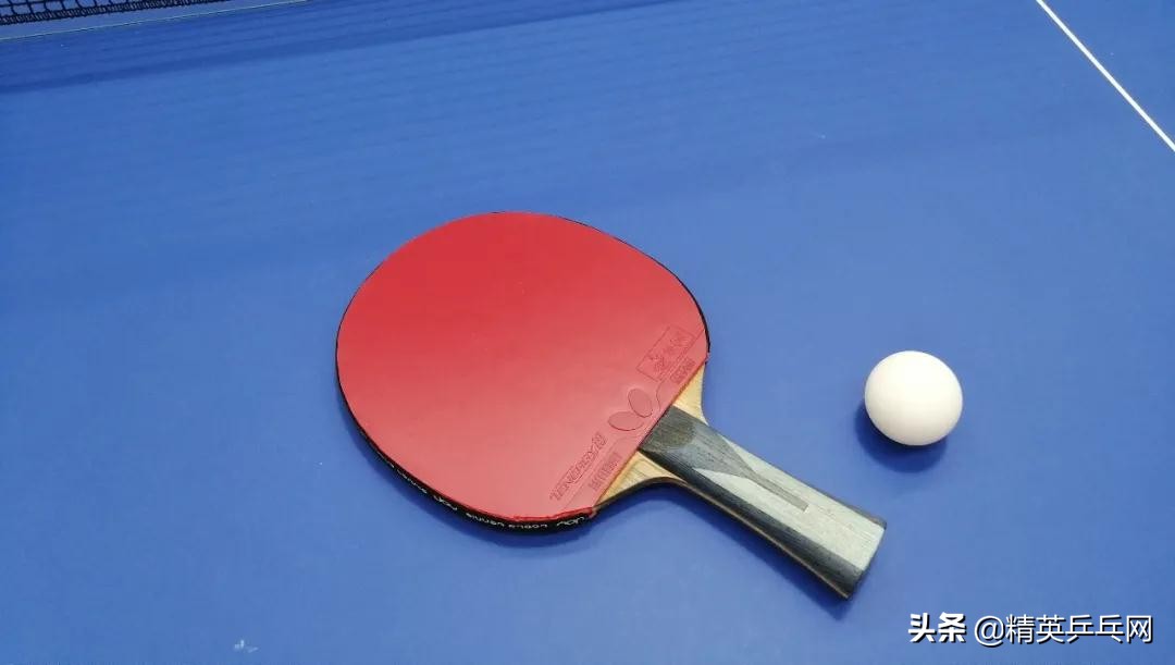 蝴蝶t19适合打正手还是反手,蝴蝶t19买国行还是日版