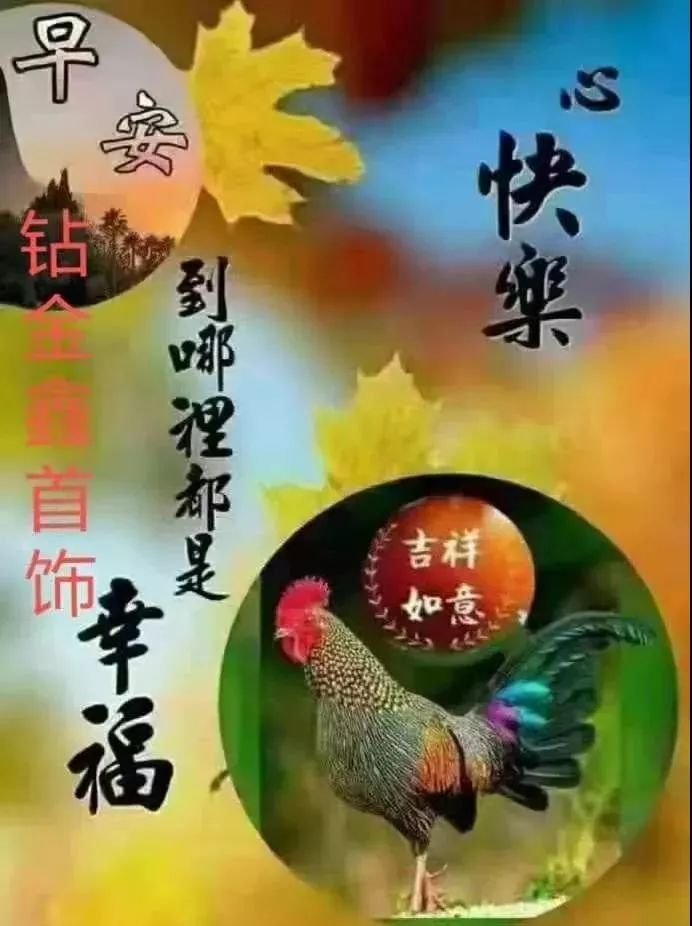 相知无远近万里尚为邻早安语,早安愿抬头低头遇见的都是温暖