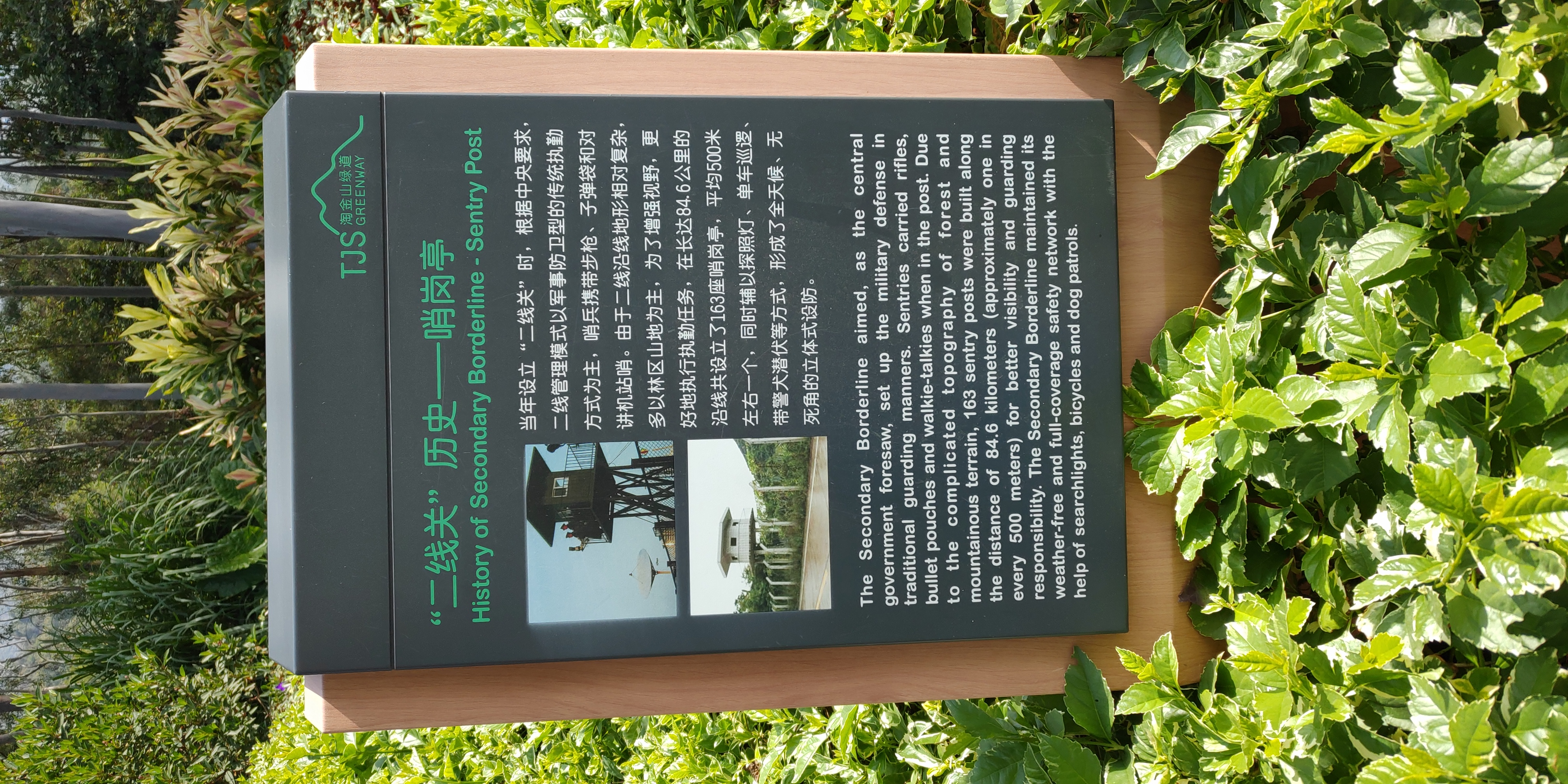 深圳罗湖绿道淘金山绿道攻略,深圳梧桐山绿道徒步攻略