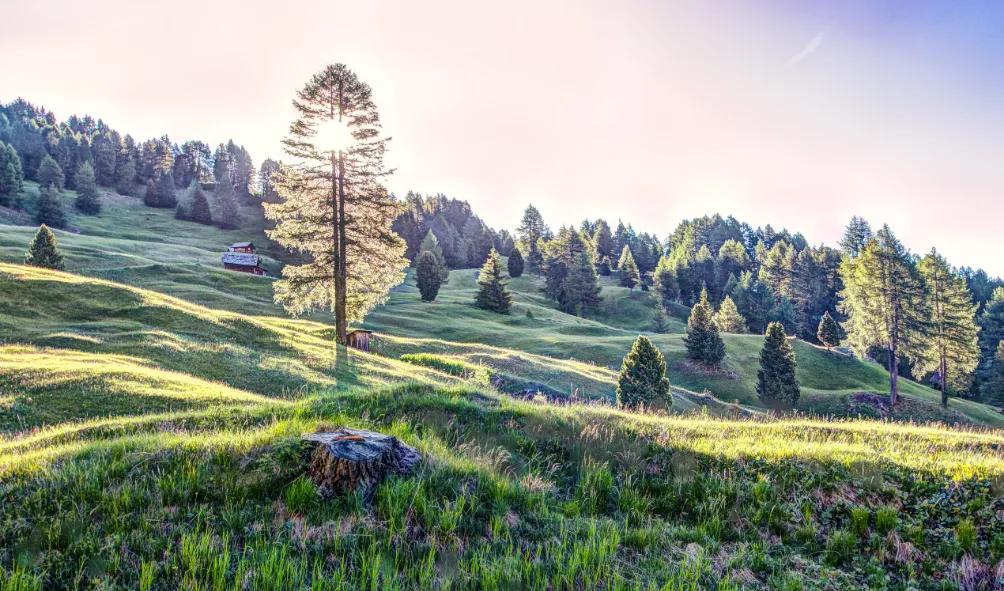 写给自卑的一句话,写给自卑又敏感的你