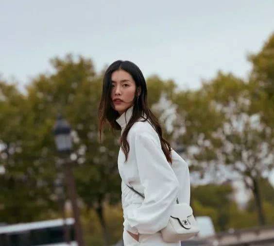 刘雯大包包推荐,刘雯同款豹纹包包