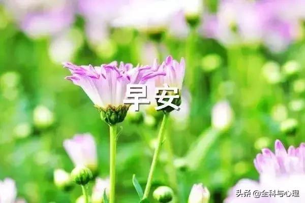 温暖的早安心语一句话正能量短句,早安心灵鸡汤励志正能量短句