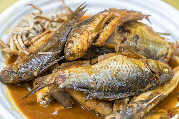 踏春赏花拍美景,踏春赏花逛湖