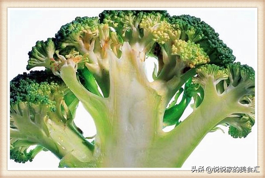 西兰花在冰箱里发黄了还能吃吗,熟西兰花可以放几个小时