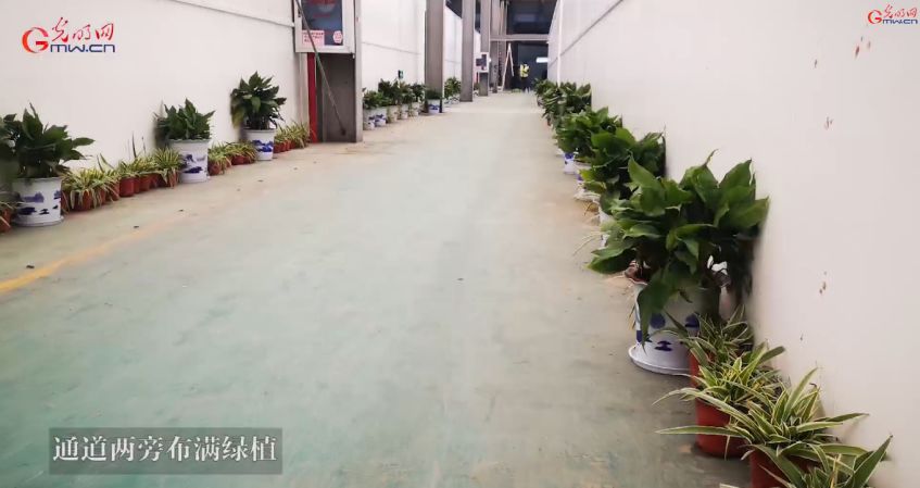 新冠肺炎治疗费用引发的思考,新冠100多万医疗费