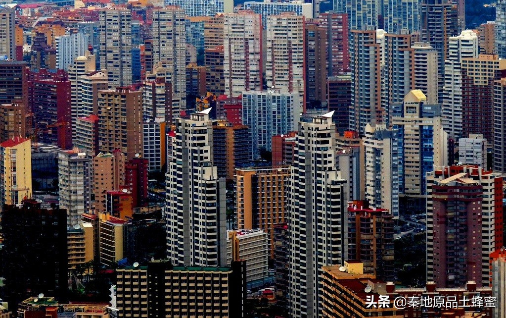 什么是真正的土蜂蜜？农家蜂蜜是土蜂蜜吗？