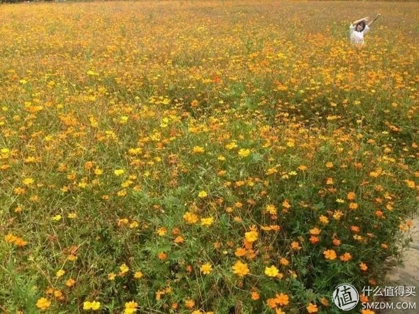 横跨20岁-55岁，钢铁直男也能学会的超简单拍妹技巧！