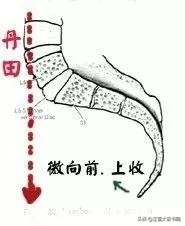 含胸拔背正确方法动图,含胸拔背手法教学视频