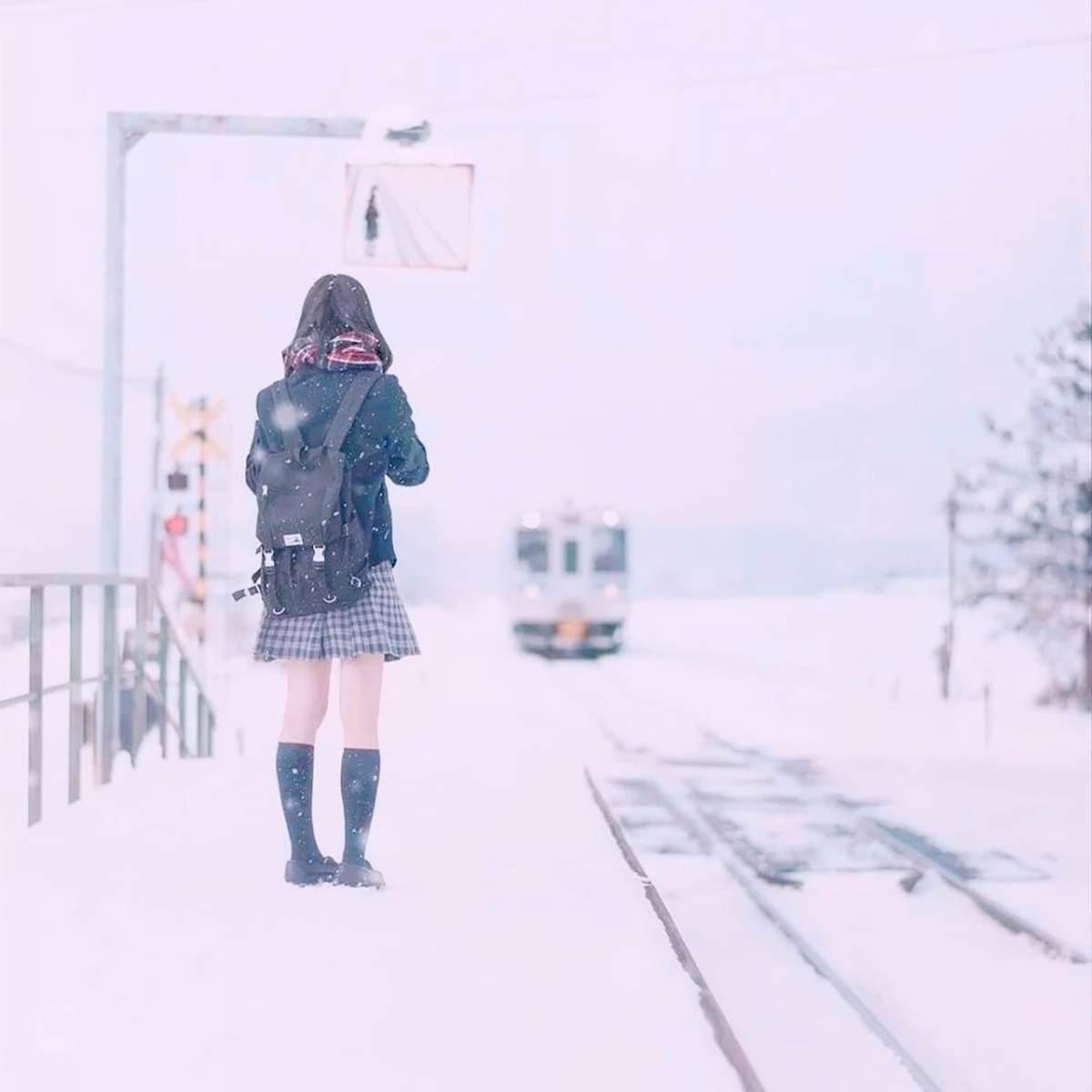 日本人怎样取暖过冬,日本人冬天怎么去取暖