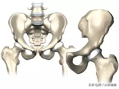 为什么有些人胯很宽,怎样练胯可以让胯变得更软
