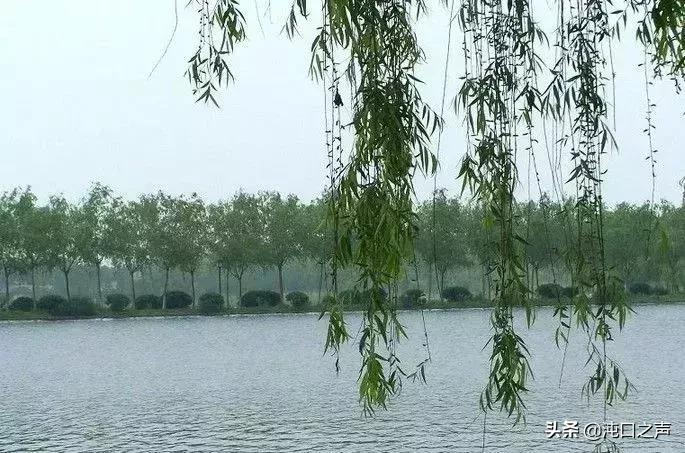 生活在江夏是种什么样的体验,生活在湖北的感受