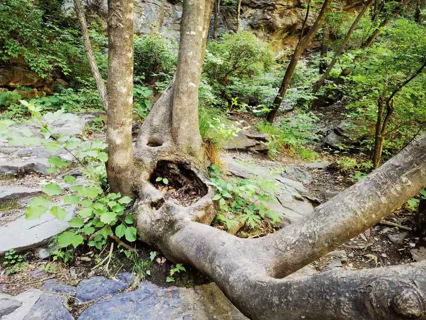 打卡北京双龙峡风景区，十里溪流百潭瀑布，北方小九寨名不虚传